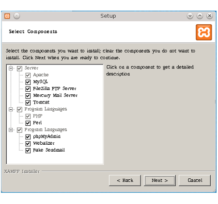 install wordpress locally xampp